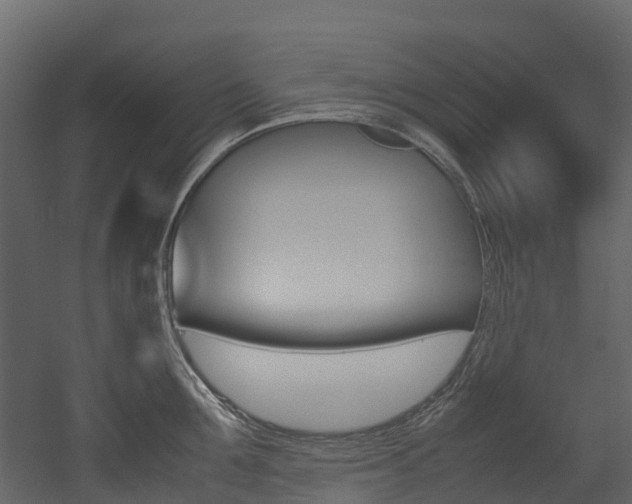 X0000052970907200507080919