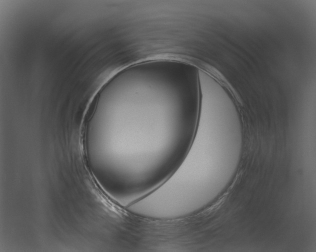 X0000052970908200507080919