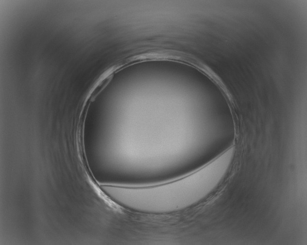 X0000052970909200507080918