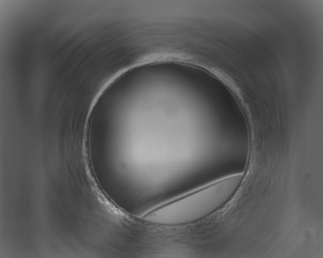 X0000052970912200507080918