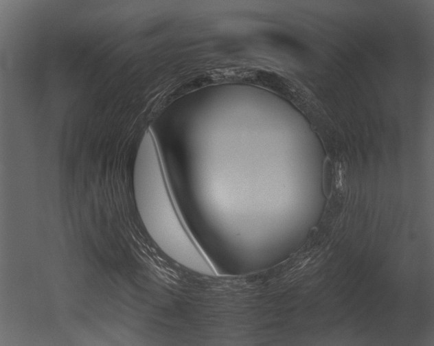 X0000052970915200507080918