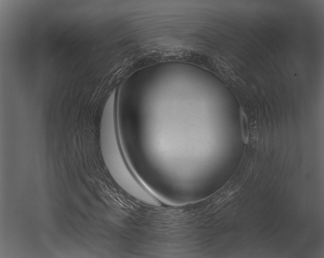 X0000052970916200507080918
