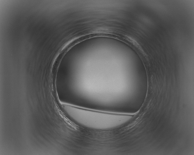 X0000052970931200507080918