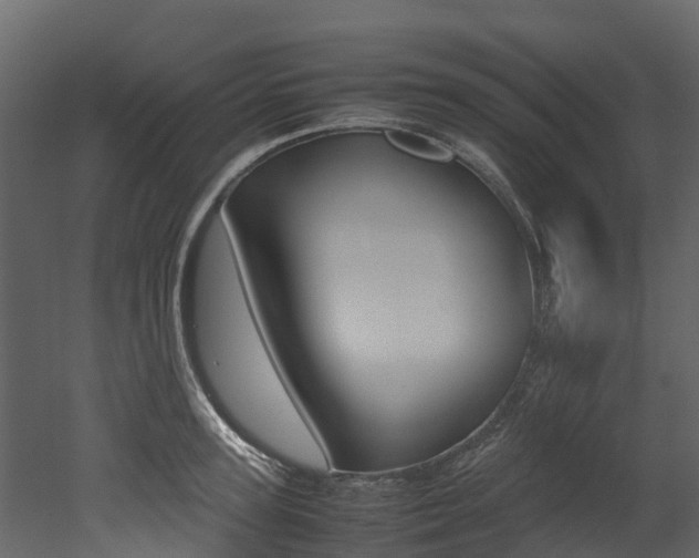 X0000052970947200507080918