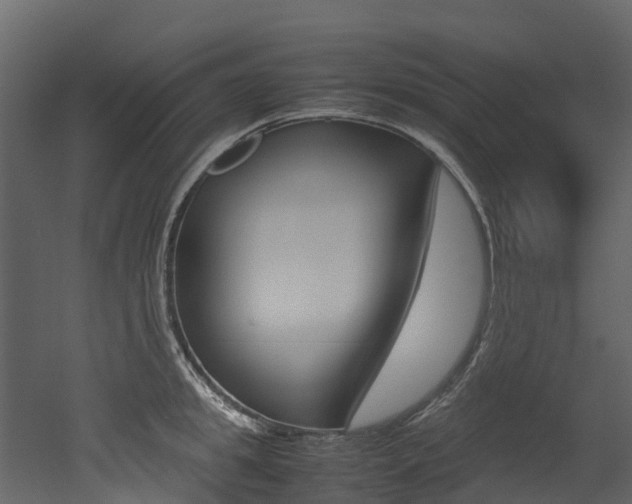 X0000052970949200507080918