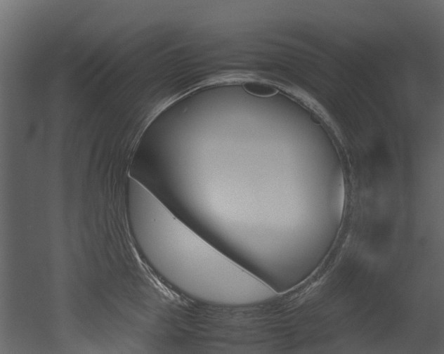 X0000052970953200507080918