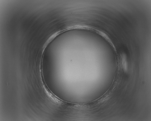X0000052970954200507080918
