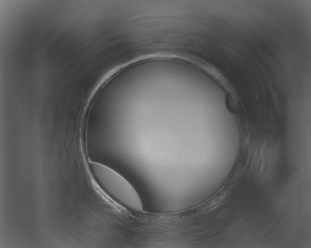 X0000052970958200507080918