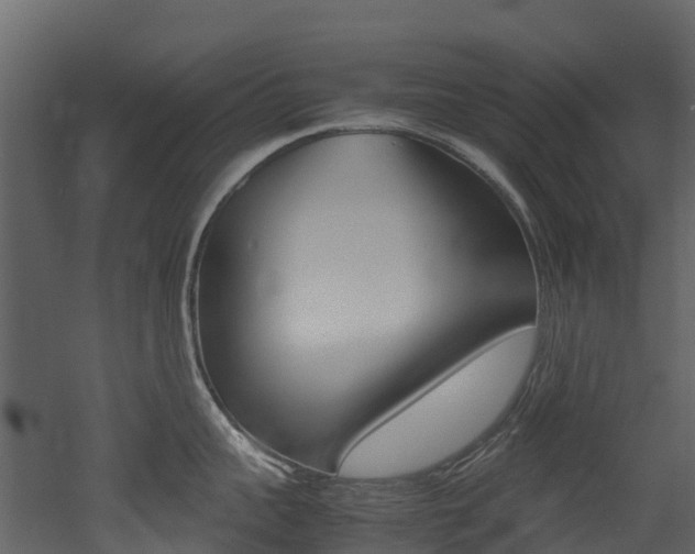 X0000052970959200507080918