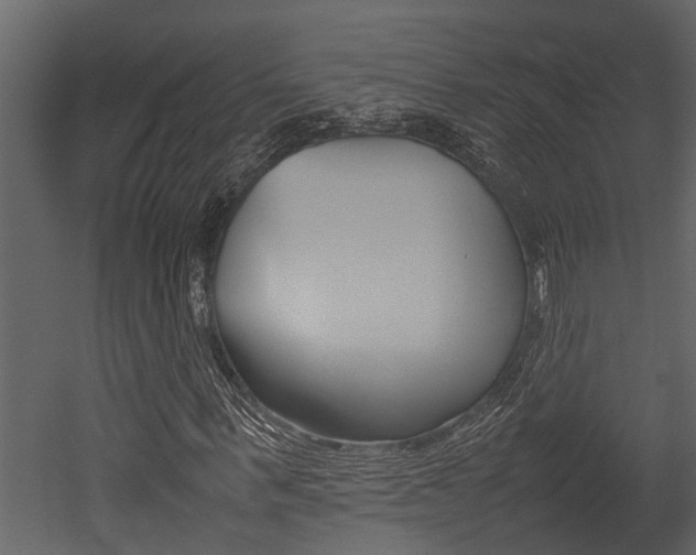 X0000052970963200507080918