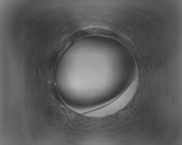 X0000052970965200507080918