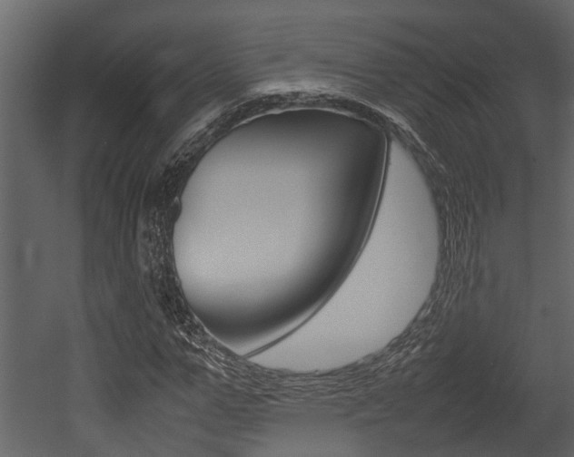 X0000052970967200507080918