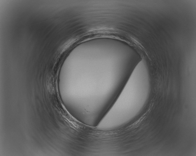 X0000052970970200507080917