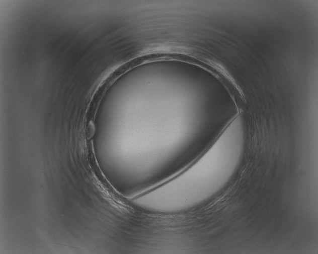 X0000052970972200507080917