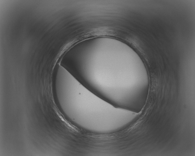 X0000052970986200507080917