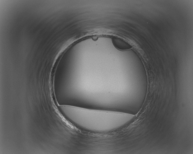 X0000052970990200507080917