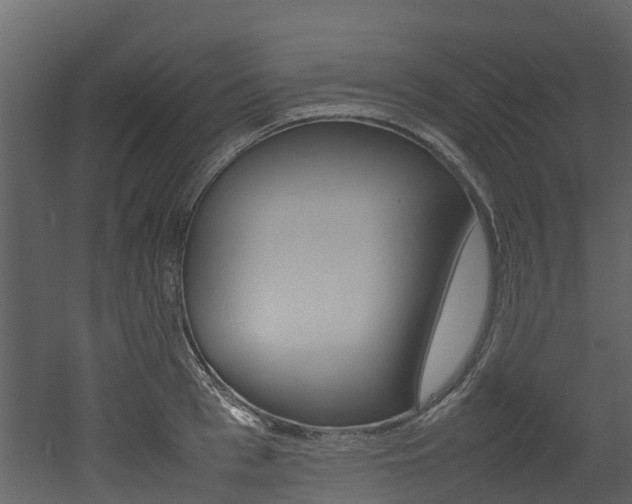 X0000052970993200507080917