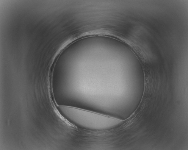 X0000052970998200507080917