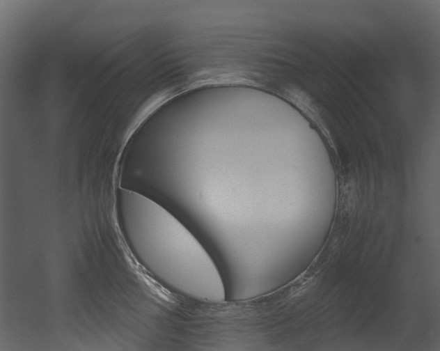 X0000052971002200507080917