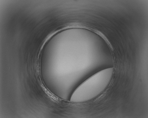 X0000052971004200507080917