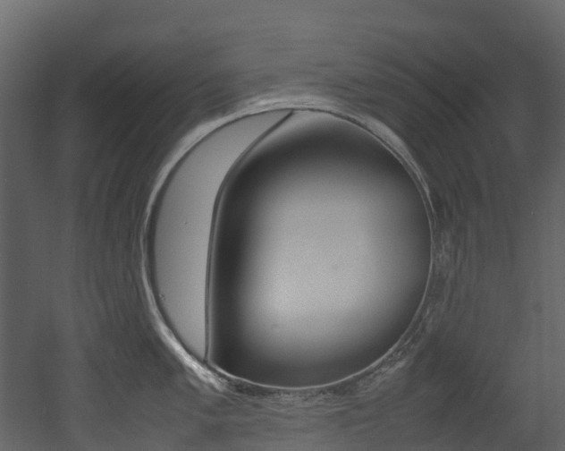 X0000052971005200507080917