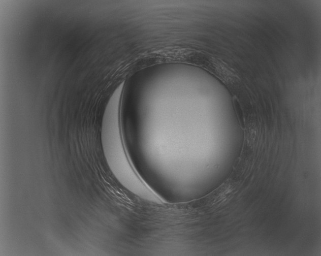 X0000052971010200507080916