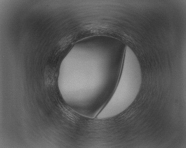 X0000052971012200507080916