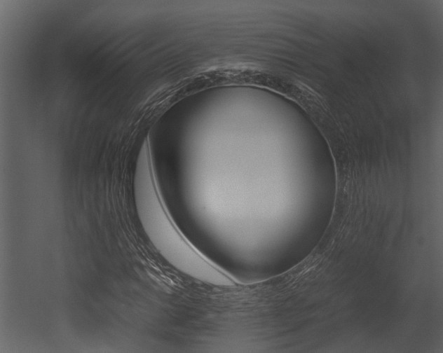 X0000052971014200507080916