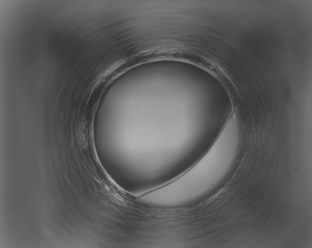 X0000052971018200507080916