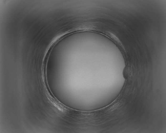 X0000052971035200507080916