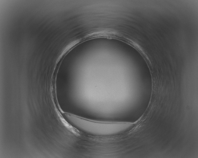 X0000052971042200507080917