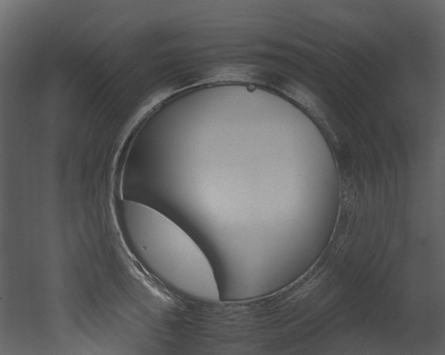 X0000052971043200507080917