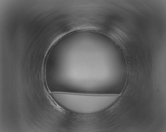X0000052971044200507080917