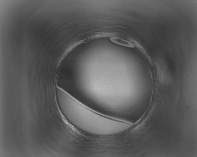 X0000052971049200507080917