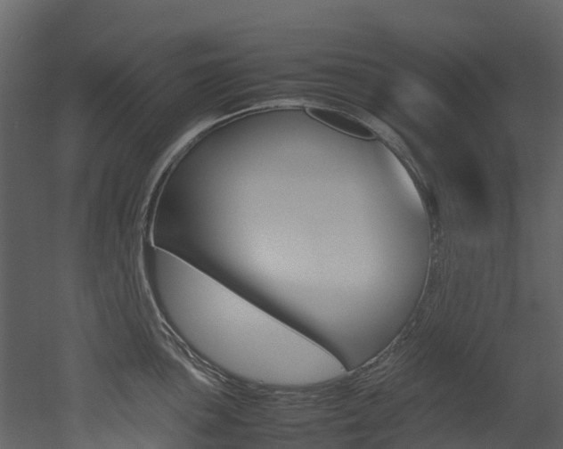 X0000052971051200507080917
