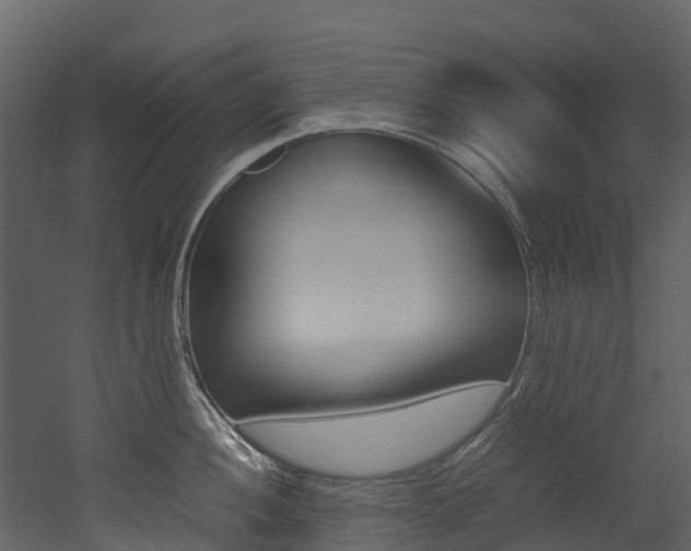 X0000052971052200507080917