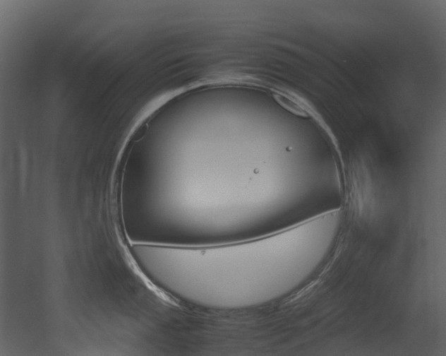 X0000052971053200507080917
