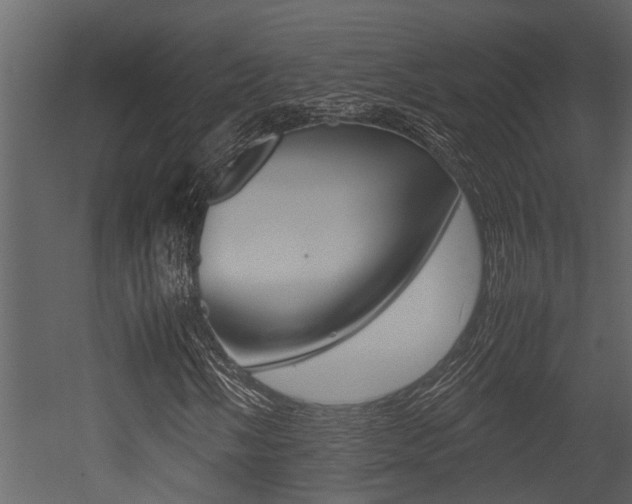 X0000052971058200507080916