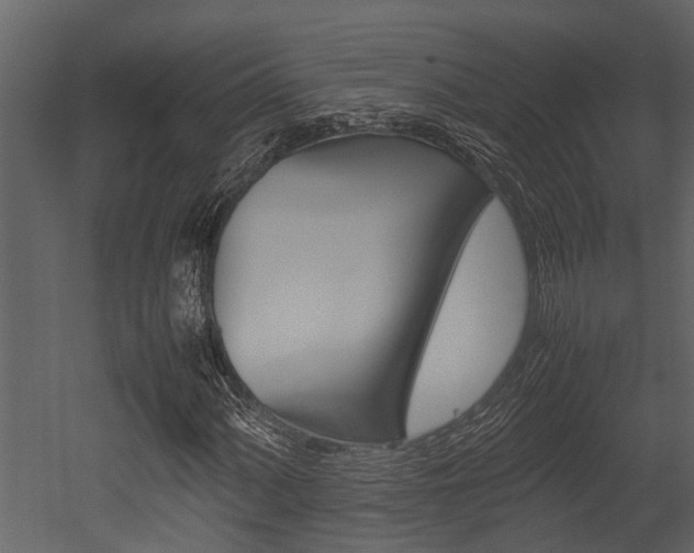 X0000052971060200507080916