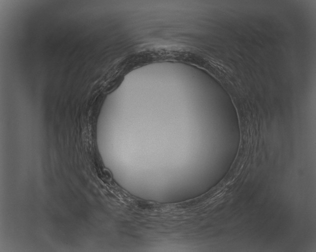 X0000052971061200507080916