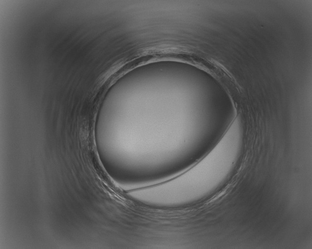 X0000052971065200507080916