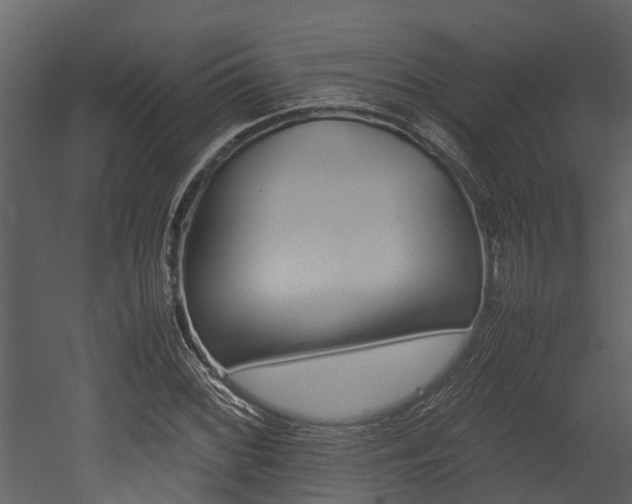 X0000052971068200507080916