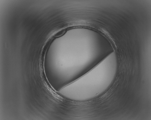 X0000052971072200507080916