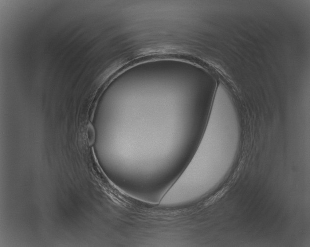 X0000052971073200507080916