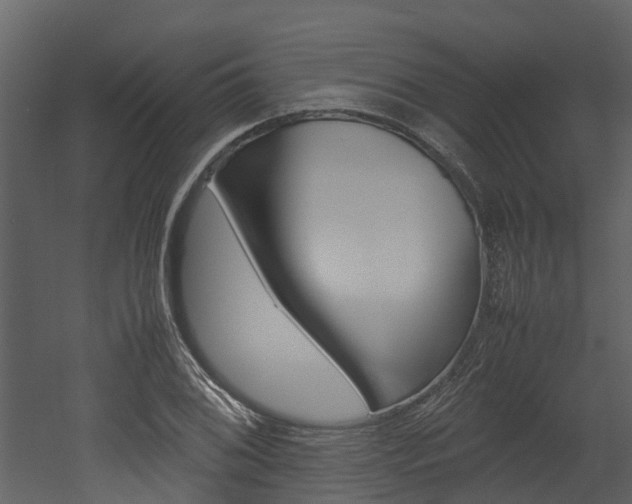X0000052971076200507080916
