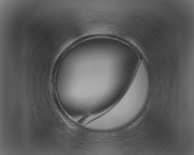 X0000052971077200507080916