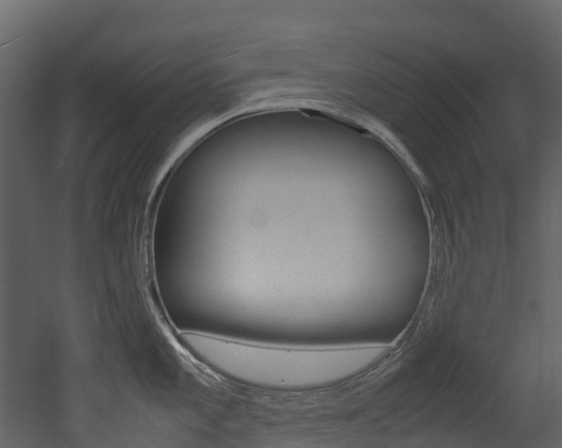 X0000052971101200507080915