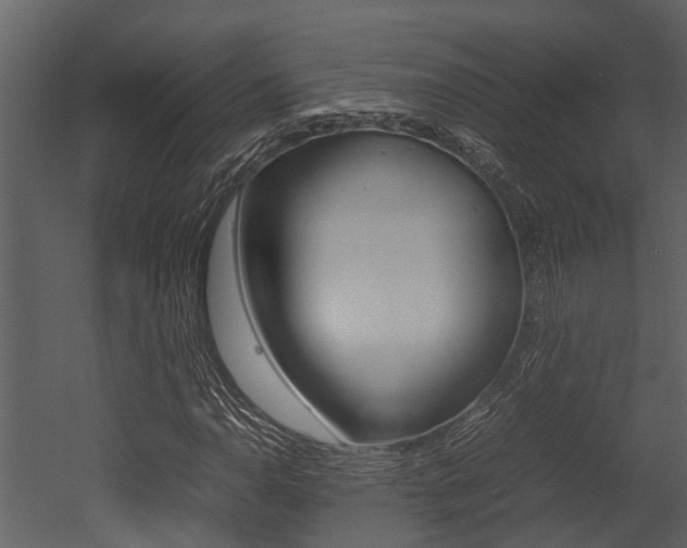 X0000052971110200507080914
