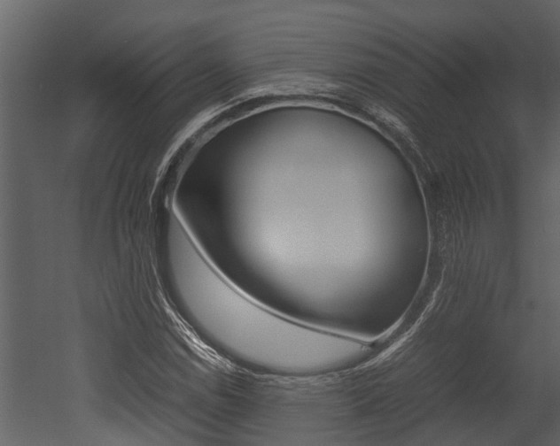 X0000052971114200507080915