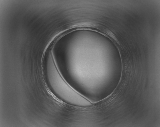 X0000052971116200507080915